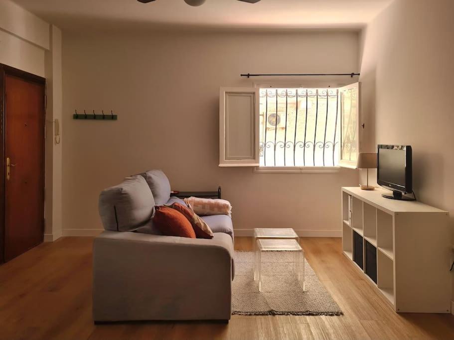 Apartamento Amar-Cura マラガ エクステリア 写真