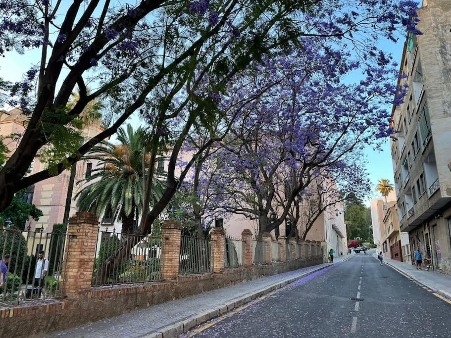 Apartamento Amar-Cura マラガ エクステリア 写真
