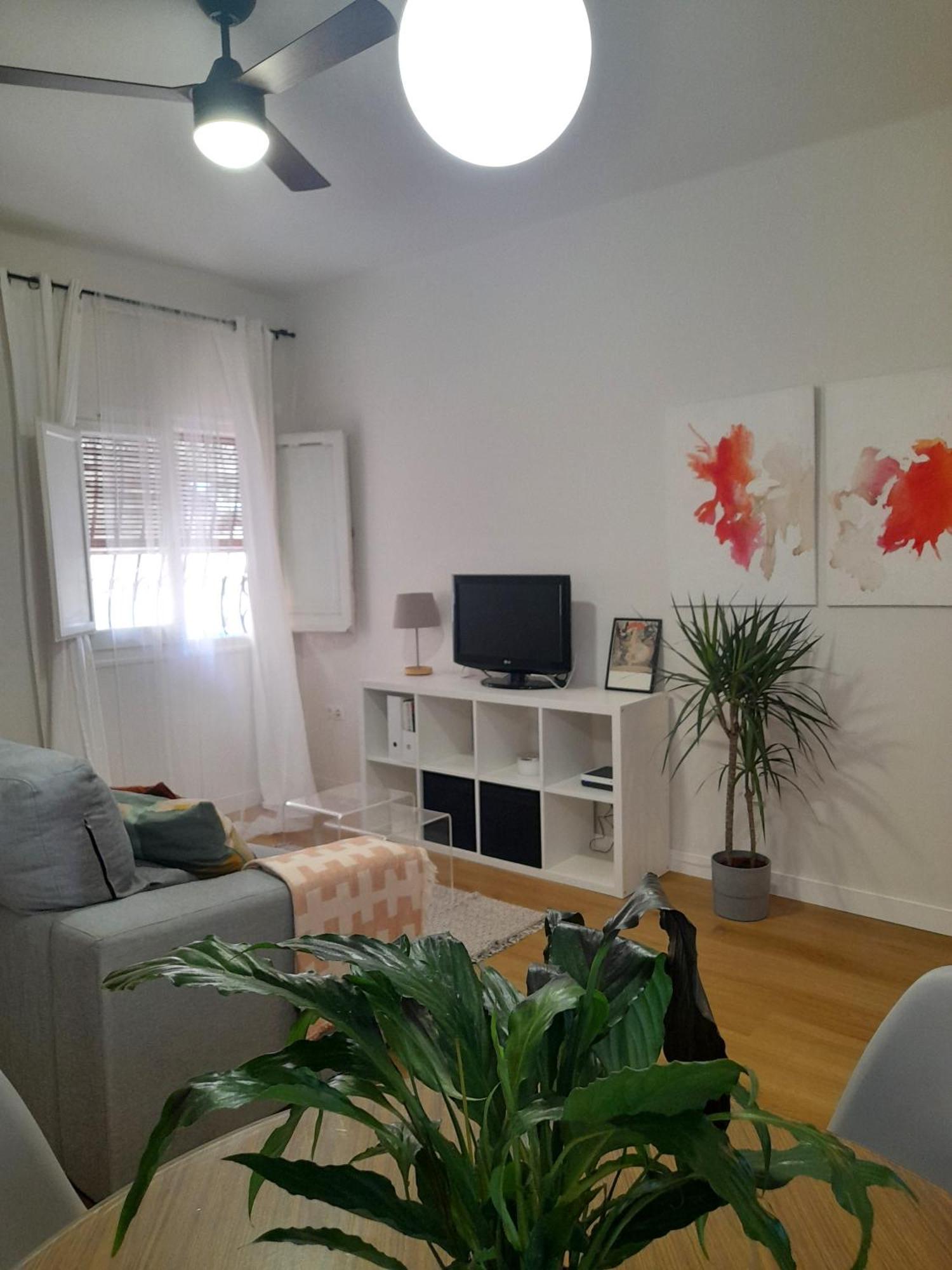 Apartamento Amar-Cura マラガ エクステリア 写真